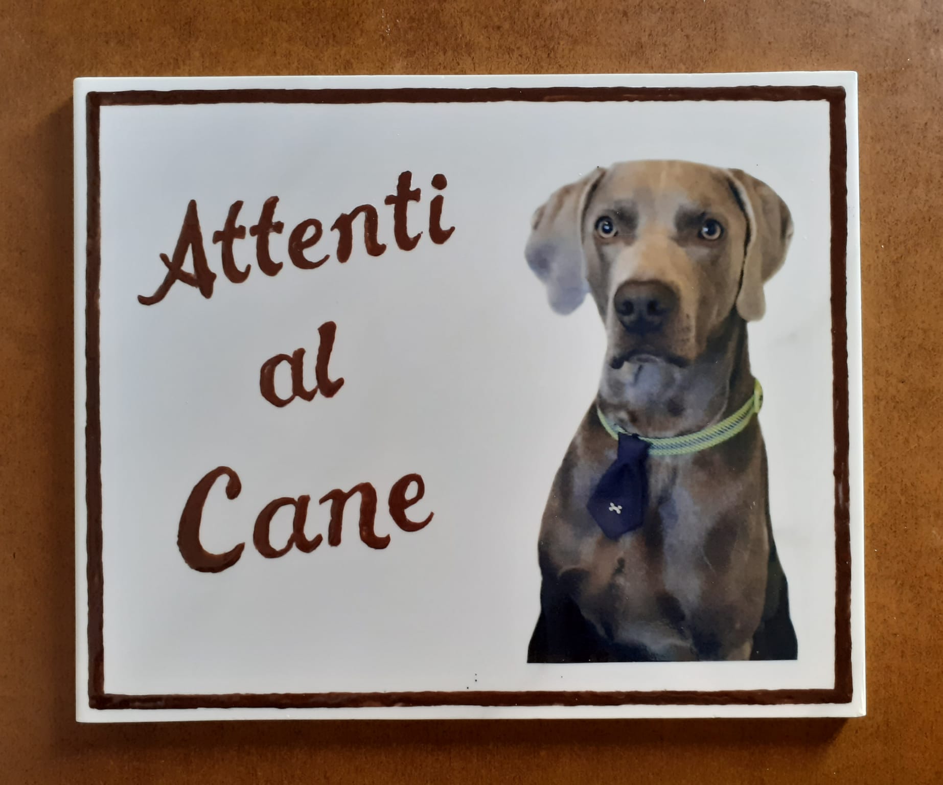 attentialcane